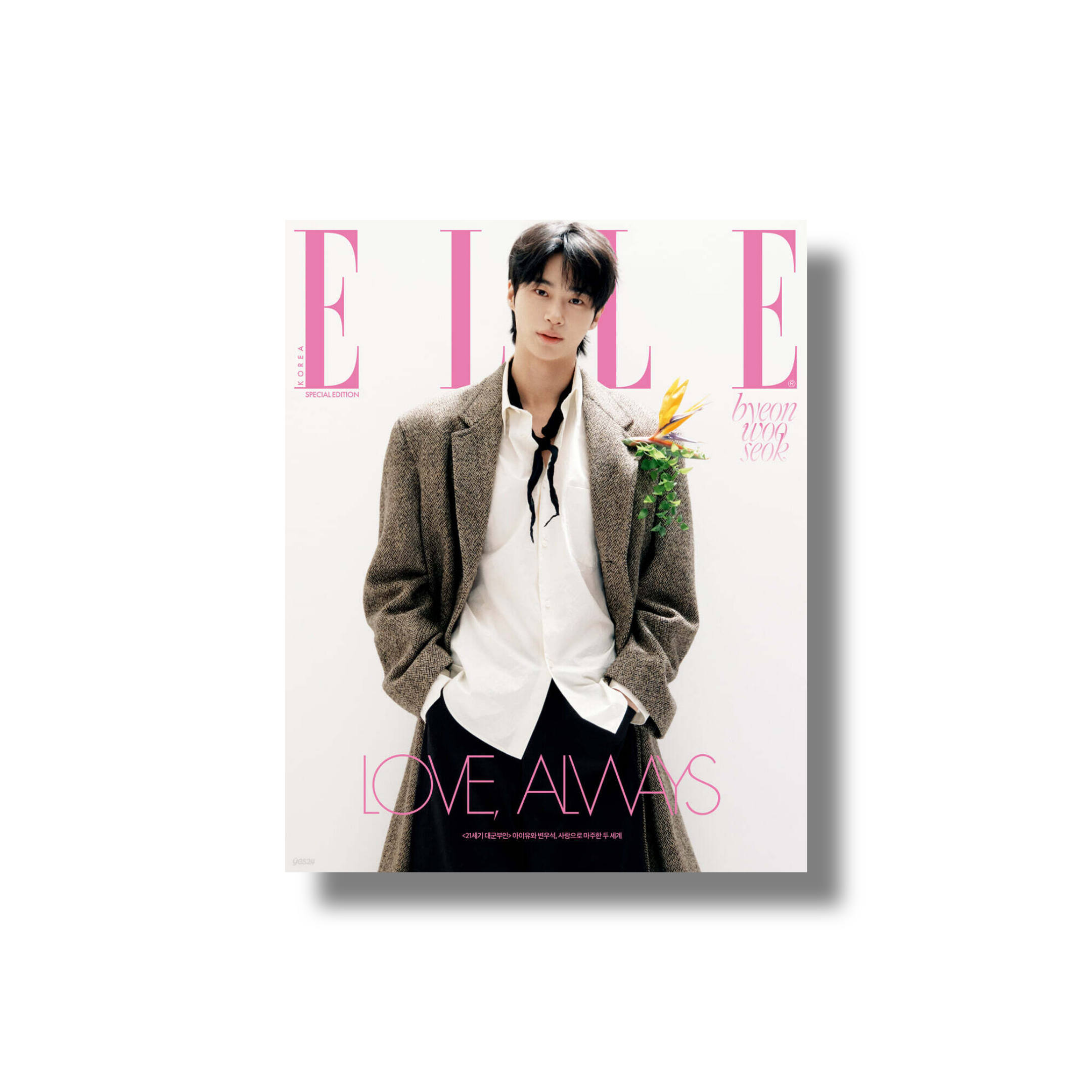 ELLE Elle E Type (Women's Monthly) : April Special Edition [2026] | K ...